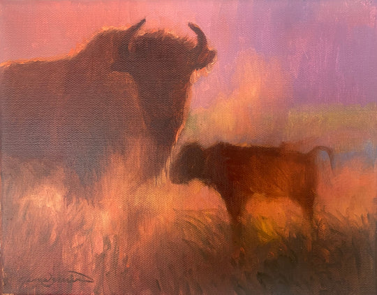 Sunset Bison Study - Oil on Canvas