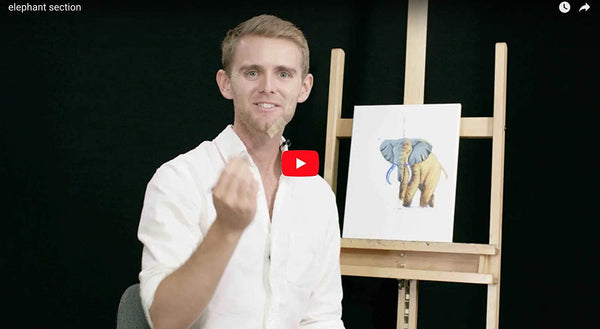 Fine Art Kit Video Code - Unlock Instructional Step by Step Painting Tutorials