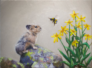 A canvas print featuring a mountain pika watching a bumblebee on a flower by wildlife artist James Corwin.