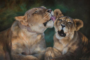 african mother lion grooms her cub art painting limited edition print
