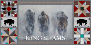 Western Bison Buffalo Rustic Bed Quilt Set w/ 2 Shams