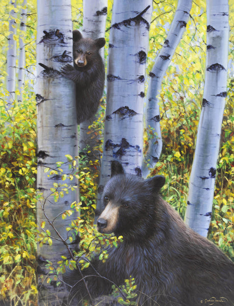 A baby black bear climbs an aspen tree to keep watch over mamma bear as she eats berries in the fall aspen trees painting art limited edition print by james corwin fine art montana artist