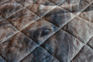 Western Moose Bed Quilt Set with 2 Pillow Shams