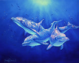 dolphin florida hawaii limited edition giclee print ocean fine art james corwin painting