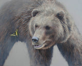 grizzly bear limited edition print wildlife art butterfly painting by james corwin fine art