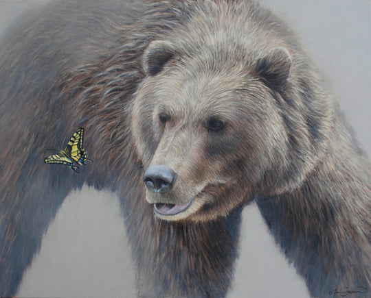 grizzly bear limited edition print wildlife art butterfly painting by james corwin fine art