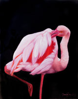 Flamingos - Open Edition Series