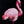 Flamingos - Open Edition Series