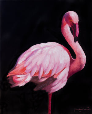 A painting of a pink flamingos on black background presented as canvas prints by wildlife artist James Corwin.