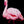 Flamingos - Open Edition Series