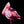 Flamingos - Open Edition Series