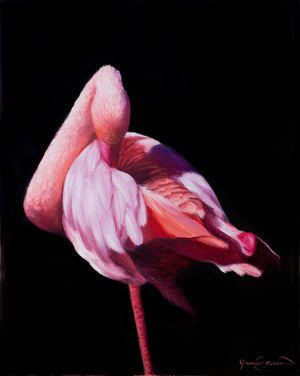 A painting of a pink flamingos on black background presented as canvas prints by wildlife artist James Corwin.