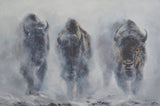 giants in the mist bison buffalo yellowstone winter limited edition print by james corwin fine art wildlife montana artist
