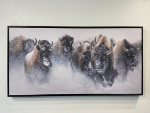 Black Floating Frame