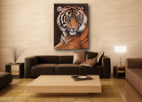sumatran tiger portrait limited edition art print hanging in room