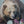 grizzly bear and butterflies bumblebees fireweed wildlife oil painting by james corwin fine art montana