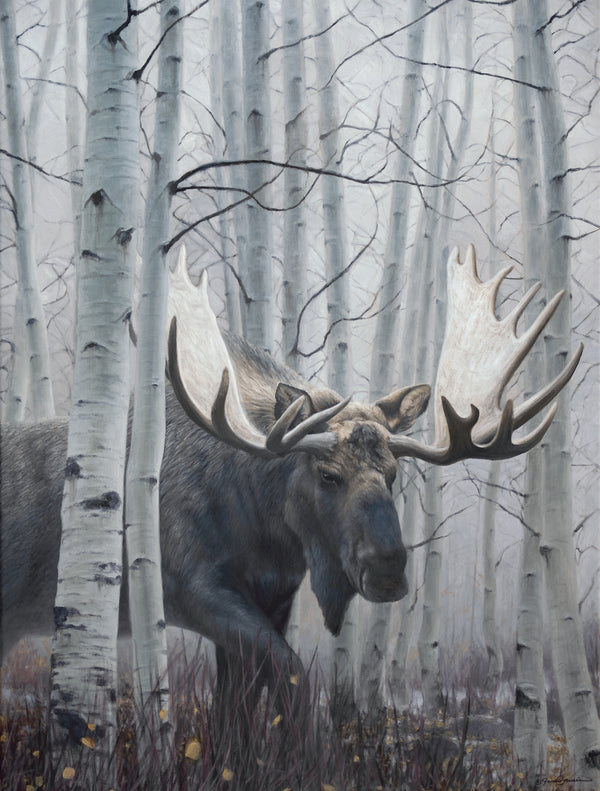 A canvas print of a bull moose in a winter aspen forest setting. Montana Oil painting by wildlife artist James Corwin.