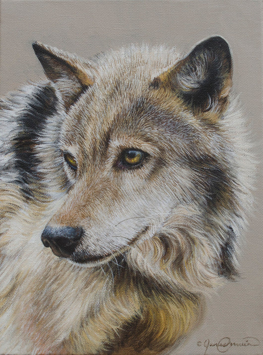 portrait of a wolf painting print canvas wildlife art by james corwin fine artist
