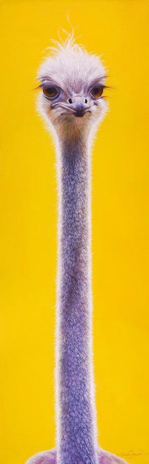 An oil painting of a sassy ostrich portrait with a contemporary yellow background as a limited edition print by wildlife artist James Corwin.