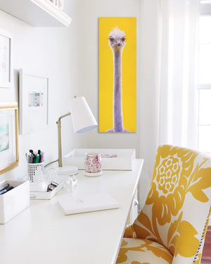 An oil painting of a sassy ostrich portrait with a contemporary yellow background as a limited edition print by wildlife artist James Corwin.