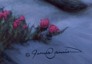 A canvas print painting featuring a realistic depiction of a coyote in a desert wildflower field during sunset by wildlife artist James Corwin. Signature of artist.