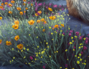A canvas print painting featuring a realistic depiction of a coyote in a desert wildflower field during sunset by wildlife artist James Corwin.