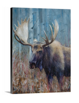 Fall Moose Study - Open Edition
