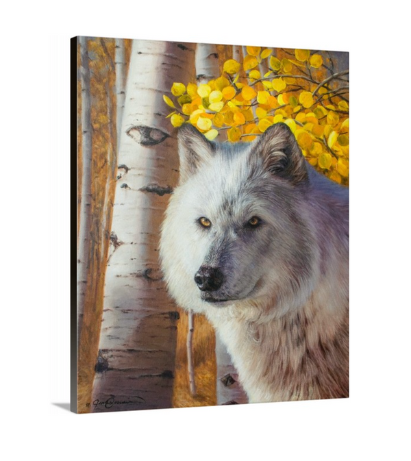 A canvas print depicting a white wolf under a cluster of golden aspen leaves by wildlife artist James Corwin.