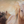 A canvas print featuring a group of horses running in a dust cloud, capturing a sense of motion and freedom. Oil painting by wildlife artist James Corwin.