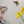 A canvas print featuring a mountain pika watching a bumblebee on a flower by wildlife artist James Corwin.