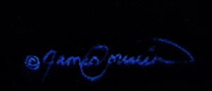 A kingfisher diving in water to catch a minnow fish. Canvas giclee print of an oil painting by wildlife artist James Corwin. Signature of artist.