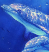 Dolphin Magic - Erster in der Serie