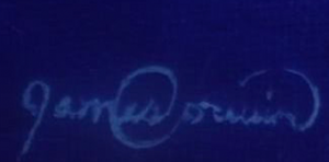 Delfinmagie - Großhandel