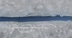 A canvas print of a curious Piping Plover chick standing on a seashore with ocean waves in the background by wildlife artist James Corwin.