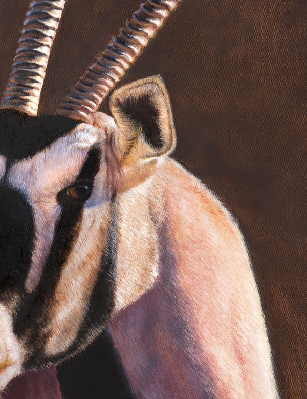 African gemsbok portrait painting limited edition art print by wildlife artist James Corwin.
