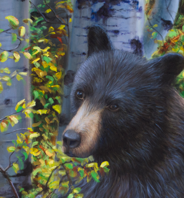 A baby black bear climbs an aspen tree to keep watch over mamma bear as she eats berries in the fall aspen trees painting art limited edition print by james corwin fine art montana artist