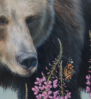 grizzly bear and butterflies bumblebees fireweed wildlife oil painting by james corwin fine art montana