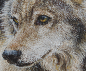 portrait of a wolf painting print canvas wildlife art by james corwin fine artist