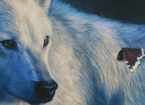 white wolf butterfly oil painting limited edition giclee print on canvas in house wildlife art by james corwin fine artist