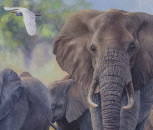 African elephants in a herd with egrets oil painting as a limited edition canvas print by wildlife artist James Corwin.