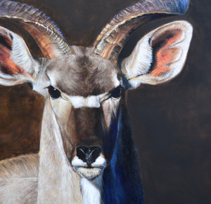 Kudu african antelope portrait limited edition art print oil painting by wildlife artist James Corwin