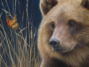 grizzly bear monarch butterfly wildlife oil painting fine art by james corwin artist