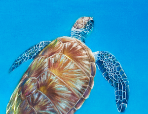 sea turtle ocean underwater painting by james corwin fine art wildlife artist