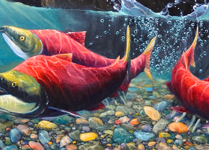 Alaskan Brown Bear pulling sockeye salmon out of river james corwin wildlife artist