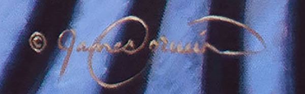 sinergia