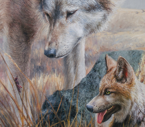 A canvas print featuring a realistic depiction of a gray wolf with its pup, set against a blurred background of a natural landscape. An oil painting by wildlife artist James Corwin based in Montana western art.