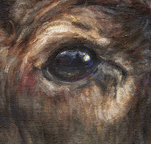 The sentinel bull elk oil painting by wildlife artist James Corwin, based in Montana, as a limited edition canvas print.