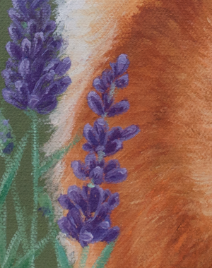 A canvas print depicting a baby fox in profile, looking upwards at a bumblebee in a field of lavender by wildlife artist James Corwin.