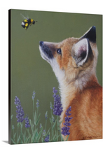 Little Fox and Bumblebee - Edición abierta