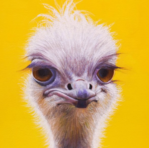 An oil painting of a sassy ostrich portrait with a contemporary yellow background as a limited edition print by wildlife artist James Corwin.